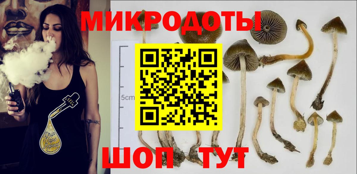Апатиты  Галлюциногенные грибы прущие грибы  Вход с VPN 