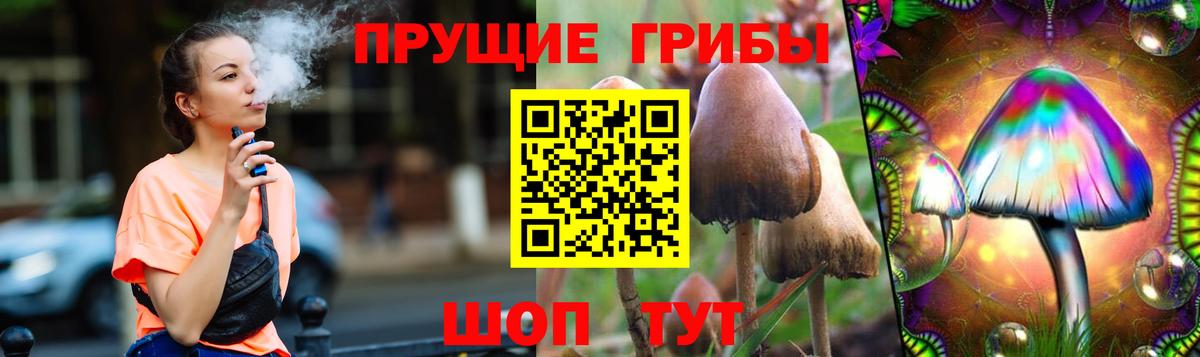 Псилоцибиновые грибы Psilocybe Апатиты